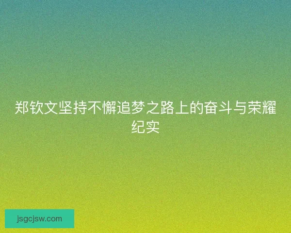 郑钦文坚持不懈追梦之路上的奋斗与荣耀纪实